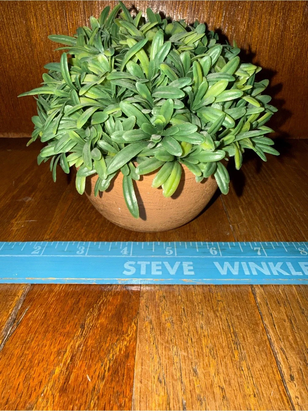 Artificial Green Succulent Plant in Terracotta Pot - Home Accents